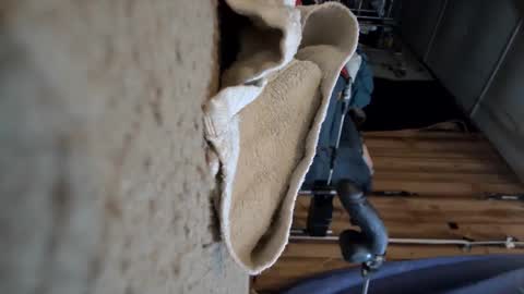 electrogee1 online show from March 15, 2026, 1:00 am