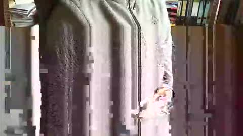 greyhounddog online show from November 5, 2025, 9:42 am