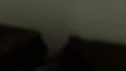 gronnn online show from January 18, 2026, 4:05 am