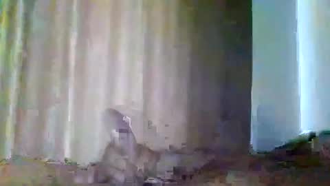 grupalenfection online show from February 7, 2025, 1:53 pm