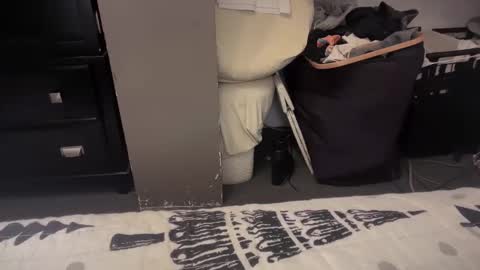 Snapshot of gumbywanna chatting on December 20, 2024, 1:36 am gumbywanna online show from December 20, 2024, 1:36 am