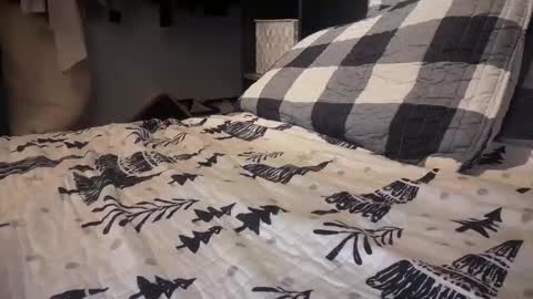 Snapshot of gumbywanna chatting on December 29, 2024, 12:09 am gumbywanna online show from December 29, 2024, 12:09 am