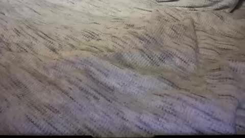 Snapshot of gumbywanna chatting on February 8, 2025, 5:08 am gumbywanna online show from February 8, 2025, 5:08 am