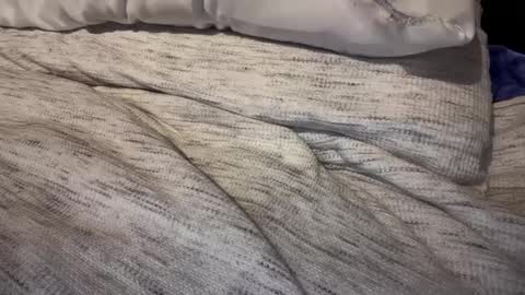 Snapshot of gumbywanna chatting on February 9, 2025, 3:23 pm gumbywanna online show from February 9, 2025, 3:23 pm