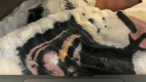 Snapshot of gumbywanna chatting on May 4, 2026, 6:31 am gumbywanna online show from May 4, 2026, 6:31 am