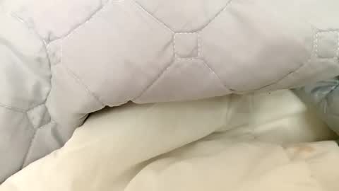 guttybeton online show from April 27, 2026, 7:17 am