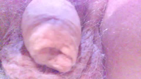 Snapshot of hagridthehorrible chatting on February 5, 2025, 12:53 am hagridthehorrible online show from February 5, 2025, 12:53 am