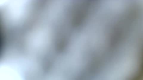 Snapshot of haileyblonde chatting on December 23, 2025, 3:59 am tatted blonde online show from December 23, 2025, 3:59 am