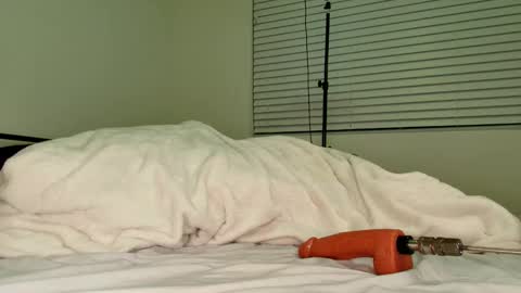 HailWilds online show from February 18, 2026, 11:33 pm