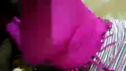 hairy_africanbae online show from July 12, 2026, 10:01 pm