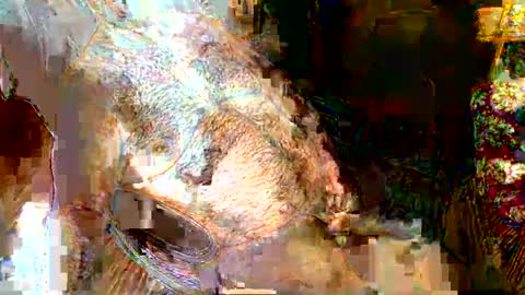 hairybear813 online show from January 5, 2025, 11:44 pm