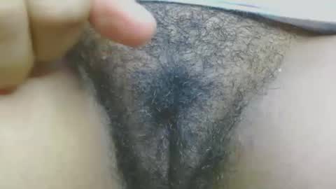 Snapshot of hairygirl83 chatting on May 5, 2026, 2:47 pm hairygirl83 online show from May 5, 2026, 2:47 pm