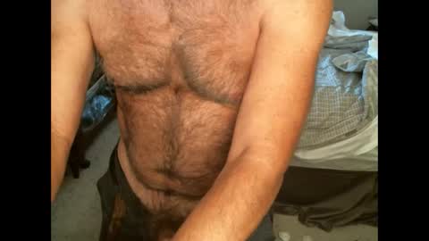 Snapshot of hairypecsguy chatting on September 12, 2025, 11:15 pm Hairy pecs online show from September 12, 2025, 11:15 pm