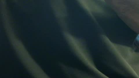 hamhead71 online show from December 27, 2024, 6:20 pm