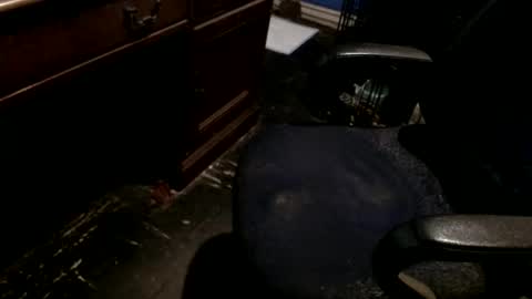 hammerhead973 online show from December 22, 2025, 8:17 pm