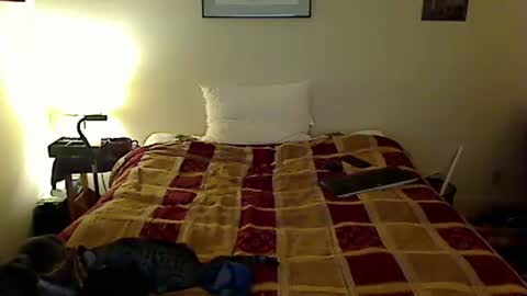 hammerthatthang73 online show from October 23, 2025, 8:57 am