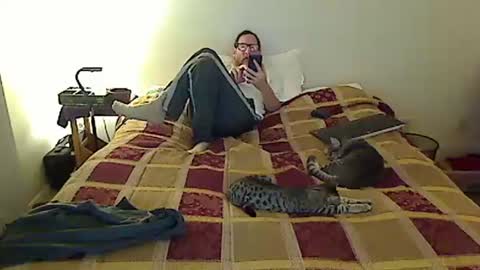 hammerthatthang73 online show from November 19, 2025, 9:09 am