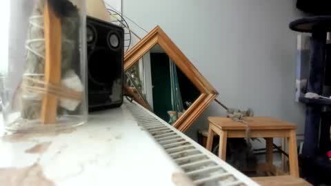 Snapshot of handncocknocum chatting on February 19, 2025, 9:06 am handncocknocum online show from February 19, 2025, 9:06 am