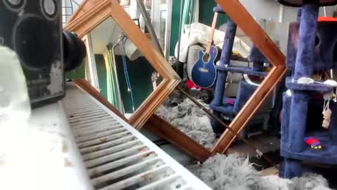 Snapshot of handncocknocum chatting on February 28, 2025, 7:15 am handncocknocum online show from February 28, 2025, 7:15 am