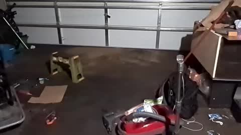 Snapshot of handsomerob42 chatting on November 23, 2025, 6:57 am handsomerob42 online show from November 23, 2025, 6:57 am