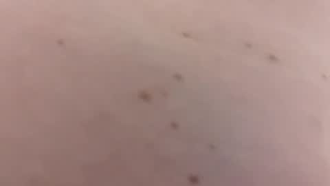 Snapshot of handsomerob42 chatting on January 18, 2026, 6:23 pm handsomerob42 online show from January 18, 2026, 6:23 pm