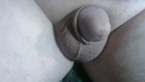 Handyman online show from January 10, 2026, 2:19 pm