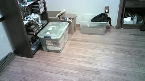 Hardy-Har online show from January 6, 2025, 4:26 am