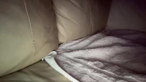 Snapshot of hardcock2622 chatting on December 20, 2024, 7:44 am Slim West Cox online show from December 20, 2024, 7:44 am