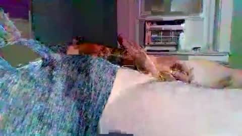 cervixpainter25 online show from November 3, 2025, 2:02 am