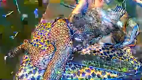 Irina online show from February 2, 2025, 12:46 pm