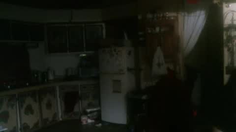 Snapshot of hardinhand44 chatting on January 31, 2025, 3:09 am john nobles online show from January 31, 2025, 3:09 am