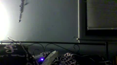 Snapshot of harleywestinc chatting on March 29, 2026, 5:51 am harleywestinc online show from March 29, 2026, 5:51 am