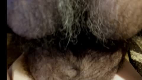 harry_banana online show from March 8, 2025, 8:55 am