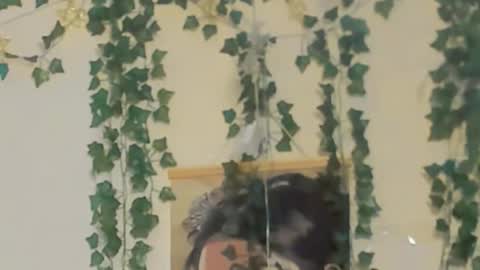 Snapshot of hateemotions chatting on October 10, 2025, 2:16 pm HateEmotions online show from October 10, 2025, 2:16 pm