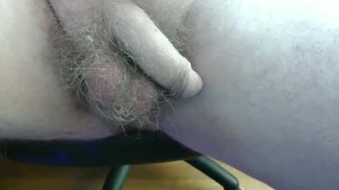 Snapshot of hawk828796136 chatting on June 1, 2026, 9:11 am febox online show from June 1, 2026, 9:11 am