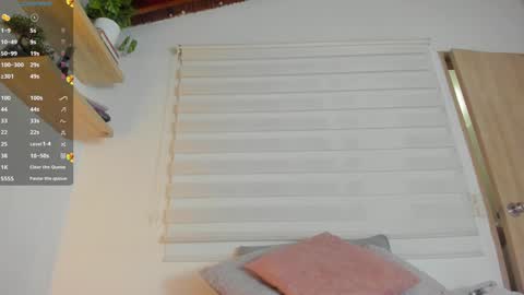 Snapshot of hazel_shy chatting on December 13, 2024, 10:34 pm Im Hazel online show from December 13, 2024, 10:34 pm