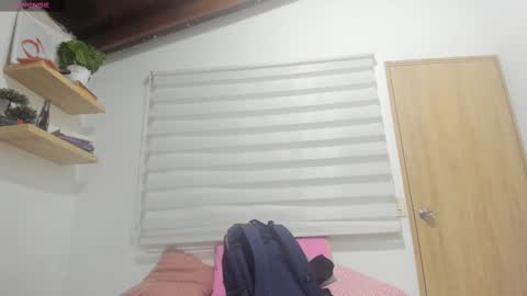 Snapshot of hazel_shy chatting on March 4, 2025, 8:05 pm Im Hazel online show from March 4, 2025, 8:05 pm