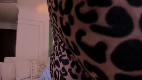 Heidy online show from February 21, 2026, 7:26 pm