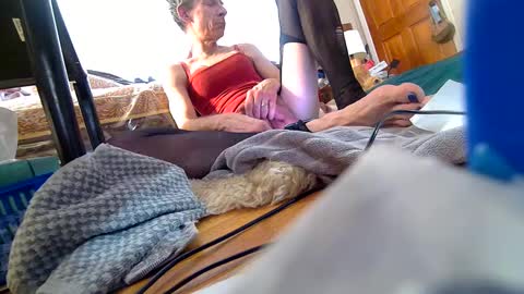 Snapshot of hellboy29ts chatting on March 5, 2025, 4:35 pm Roxanne online show from March 5, 2025, 4:35 pm