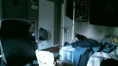 longhairbeardedguy online show from April 10, 2026, 11:48 am