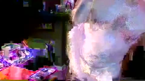 herb60657 online show from November 4, 2025, 1:54 pm