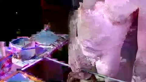 herb60657 online show from November 21, 2025, 1:32 pm