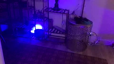 FlexieFae online show from January 3, 2025, 7:49 am