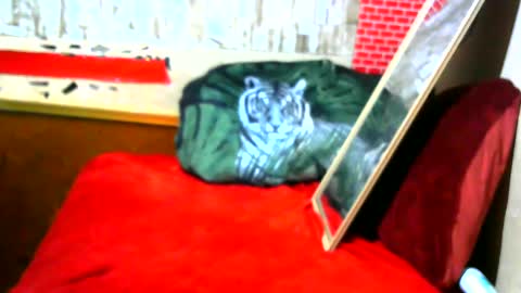 Snapshot of hhhjnf1 chatting on September 17, 2025, 7:10 am hhhjnf1 online show from September 17, 2025, 7:10 am