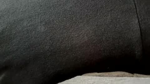 higheguy online show from February 20, 2026, 5:46 pm