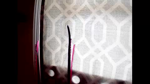 Highnesscali37 online show from December 7, 2024, 8:16 pm