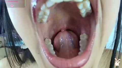 hinata online show from February 20, 2026, 8:53 pm