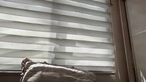 Snapshot of holly_wyn chatting on March 14, 2026, 1:55 am holly_wyn online show from March 14, 2026, 1:55 am