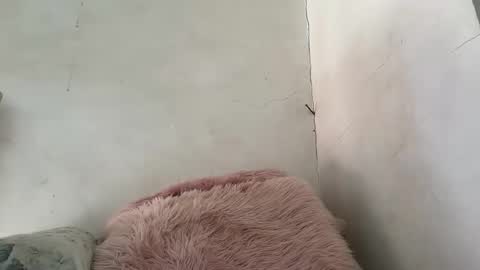 Snapshot of holly_wyn chatting on March 24, 2026, 12:15 am holly_wyn online show from March 24, 2026, 12:15 am