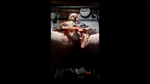 homer46567 online show from May 24, 2026, 1:49 pm